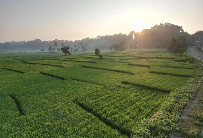 ベッドアンドブレックファースト Krui Surfing