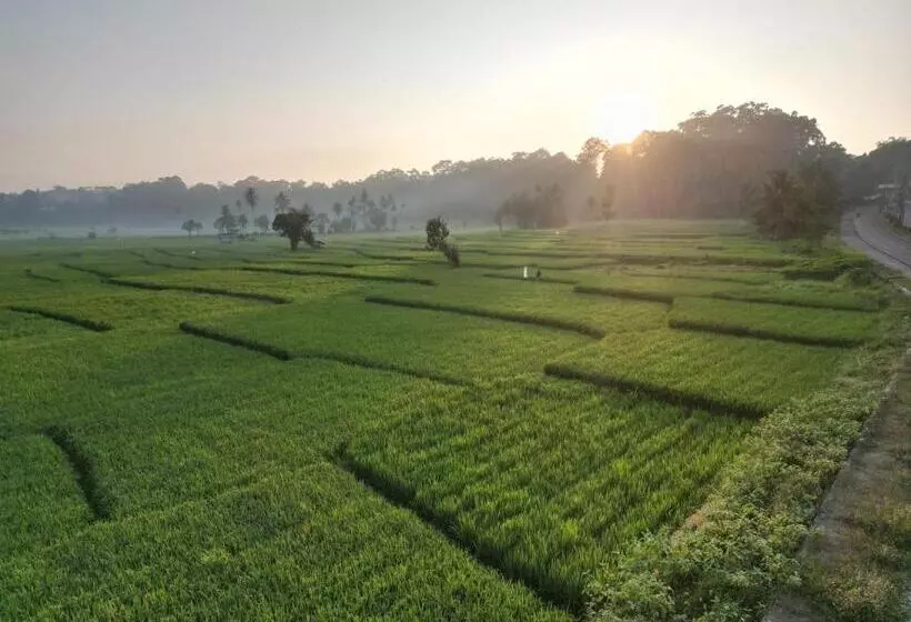 Aamiaismajoitus (B&B) Krui Surfing