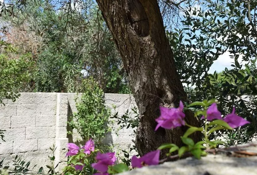 Aamiaismajoitus (B&B) L'aia Di San Giorgio