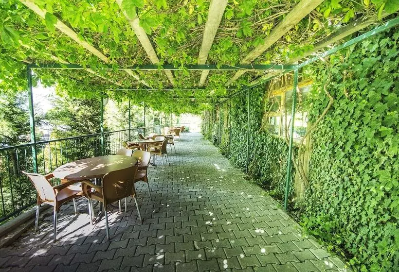 ホテル Basaranlar Thermal