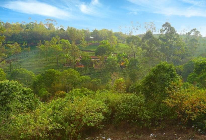 فندق Dream Land Hill Residency