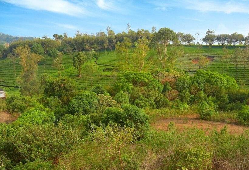 בית מלון כפרי Dream Land Hill Residency