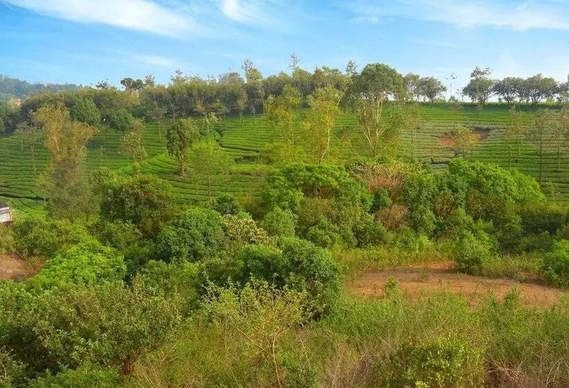 Hotelli Dream Land Hill Residency