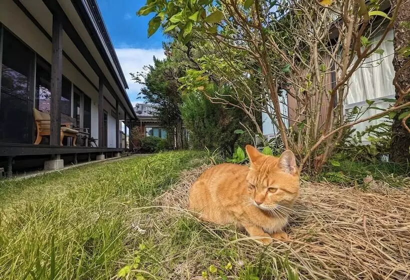 ホテル Guesthouse Key's