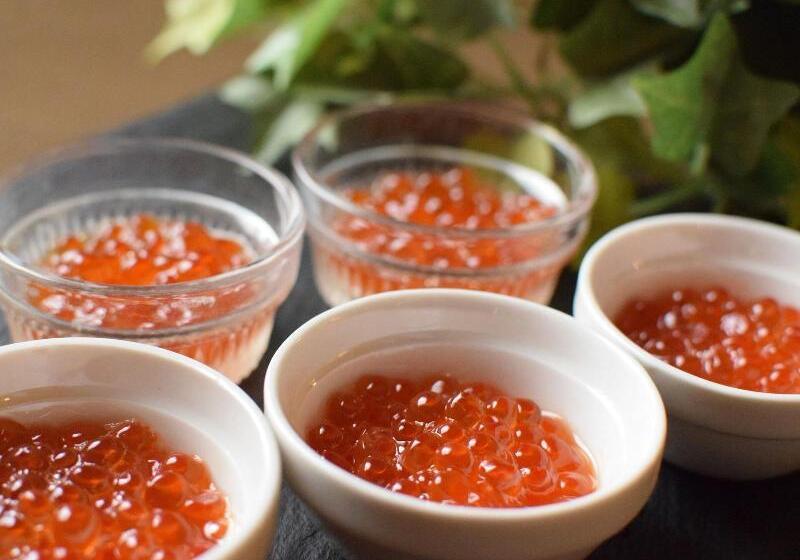 فندق New White House