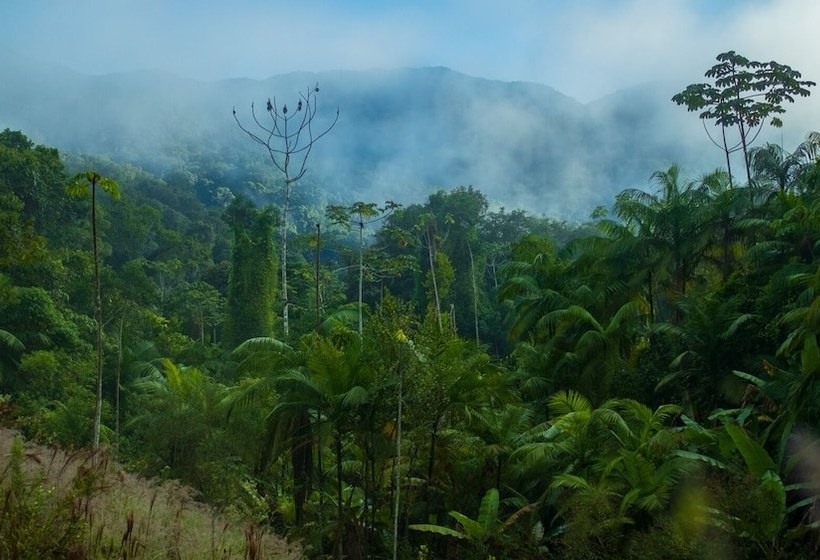 فندق Pousada Salve Floresta