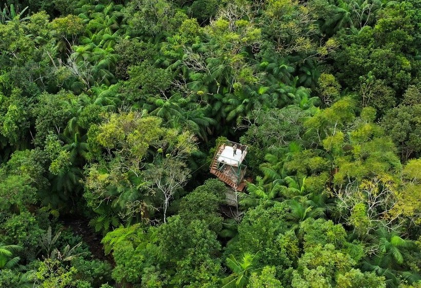 فندق Pousada Salve Floresta