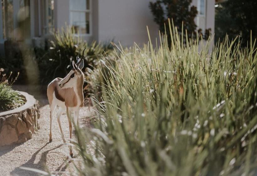 فندق Qambathi Mountain Lodge