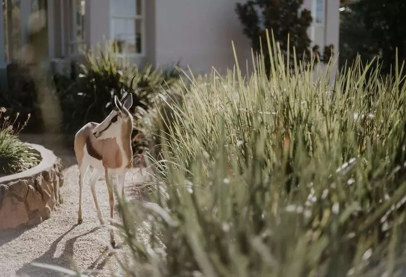 Hotelli Qambathi Mountain Lodge