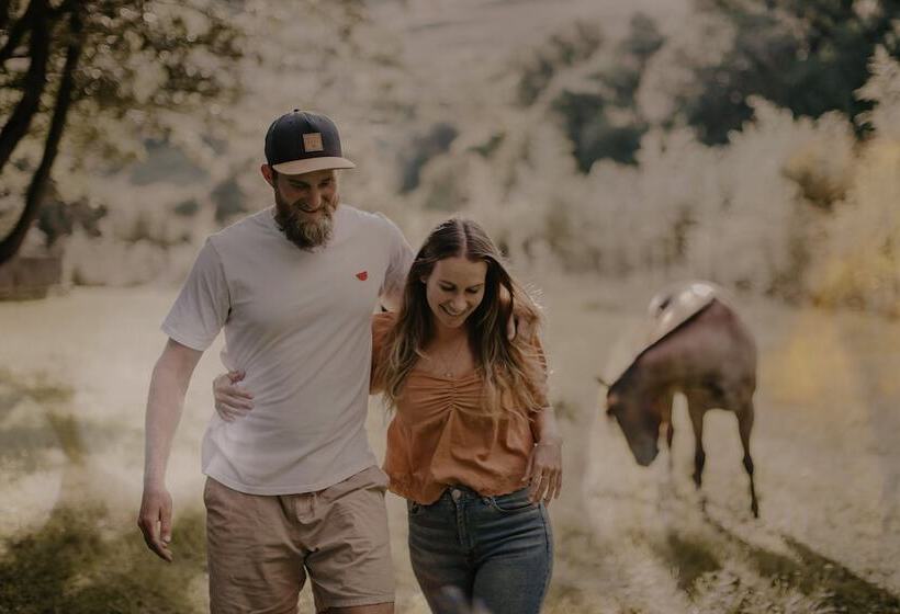 فندق Qambathi Mountain Lodge