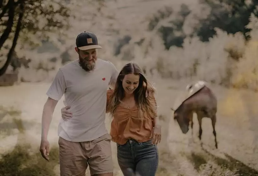 Hotelli Qambathi Mountain Lodge