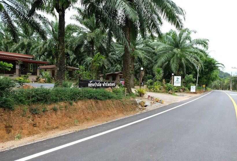 膳宿费 Tonpalm Farmstay