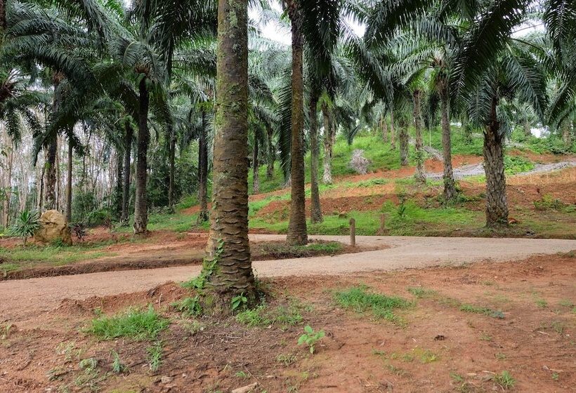 膳宿费 Tonpalm Farmstay