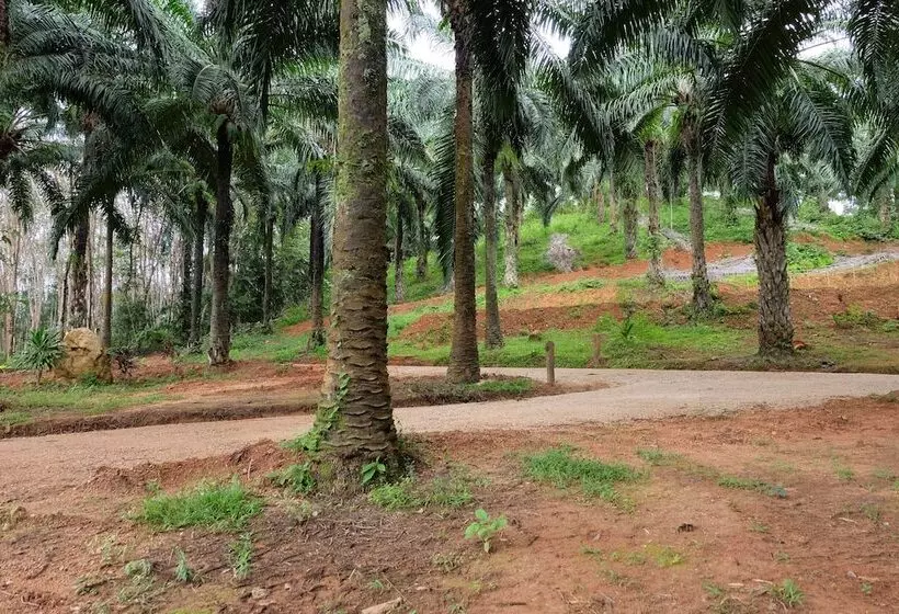 ペンション Tonpalm Farmstay