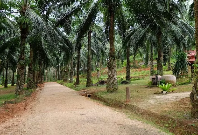 ペンション Tonpalm Farmstay