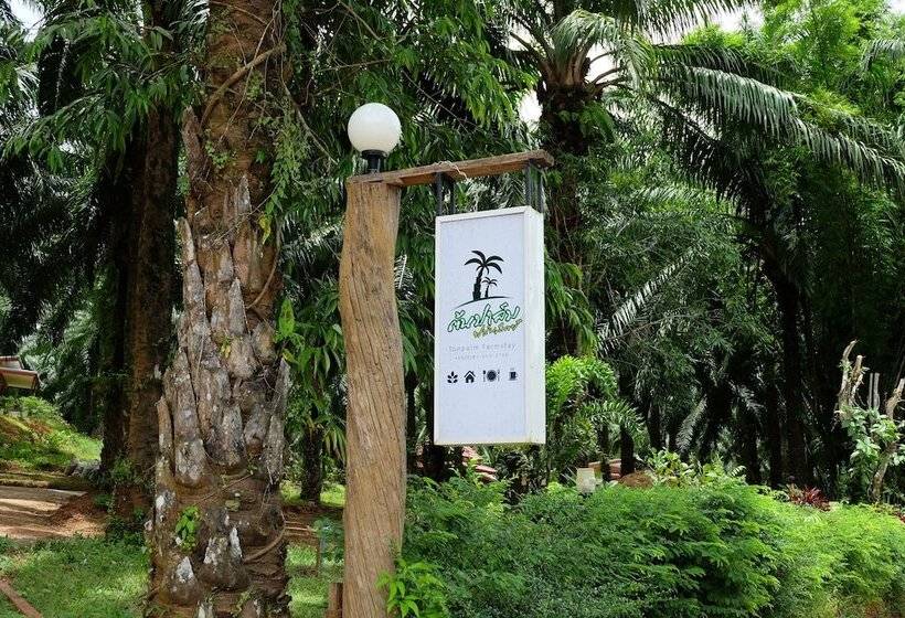膳宿费 Tonpalm Farmstay