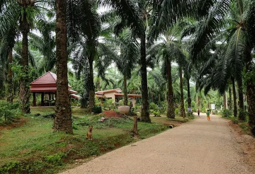 ペンション Tonpalm Farmstay