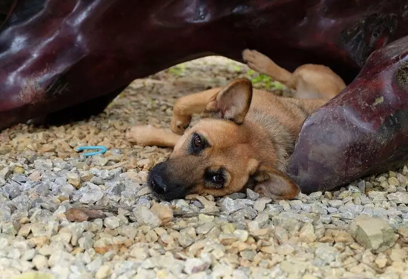 ペンション Tonpalm Farmstay