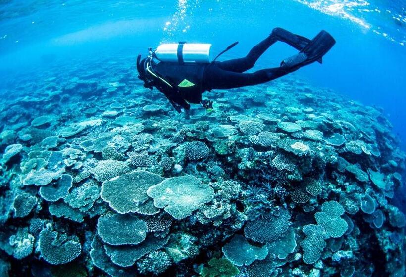 Pension (Hôtel basse catégorie) Zerogravity Seisui Villa