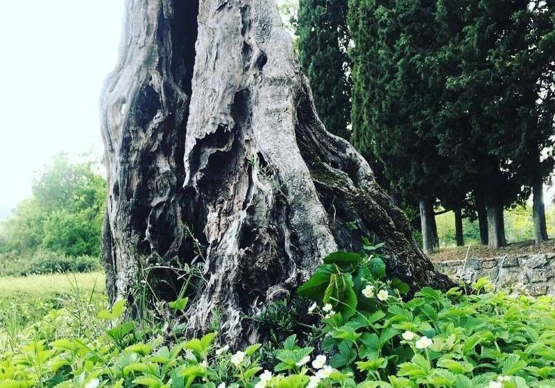 Torre Depazzi Resort