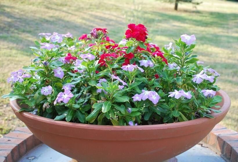 مبيت وإفطار La Casina Di Croxe