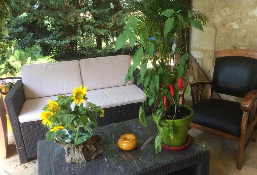 Bed and Breakfast La Damiche