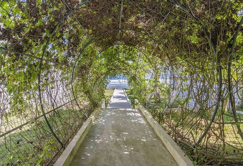 Bed and Breakfast Purist Beach