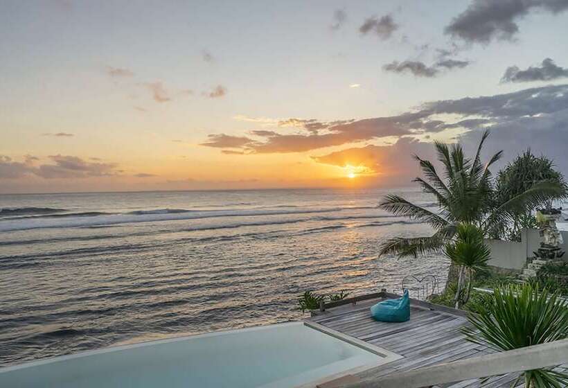 Bed and Breakfast Purist Beach