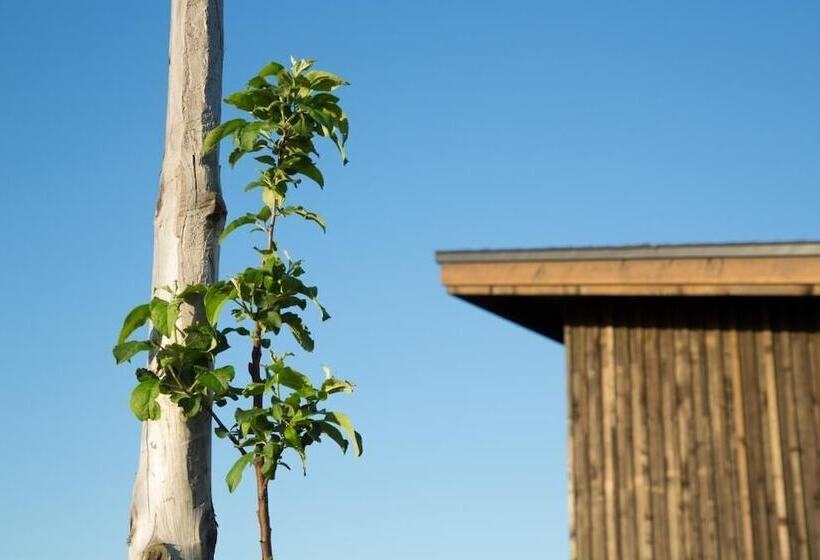 בית מלון כפרי Cottage Ekara