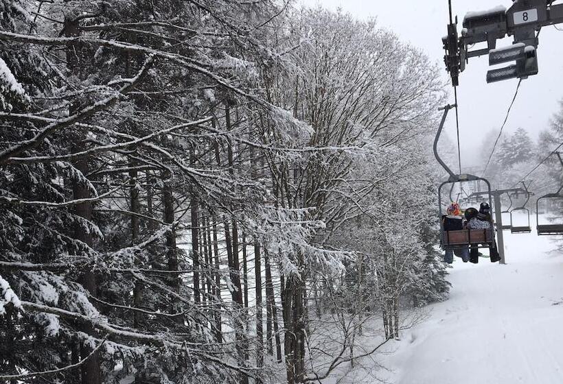 Отель Pension Poka Poka