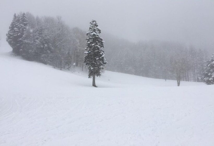 Отель Pension Poka Poka