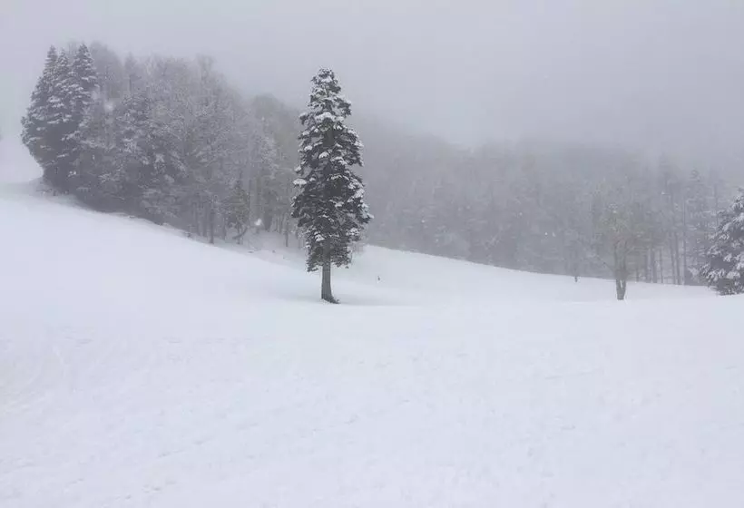 Hotelli Pension Poka Poka