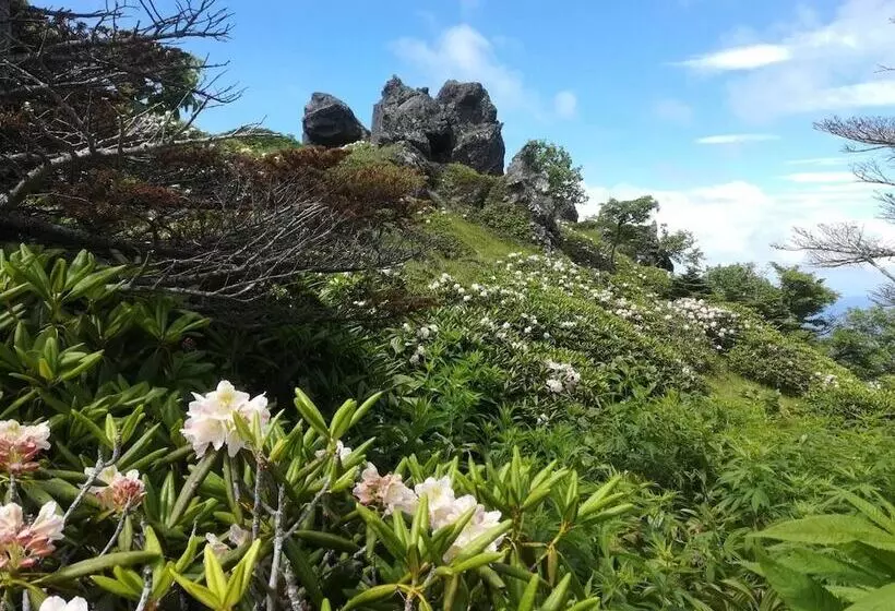 Hotelli Pension Poka Poka