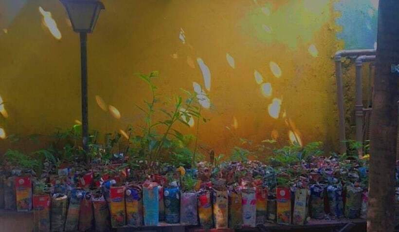 Hotel Pousada Plantar E Cuidar