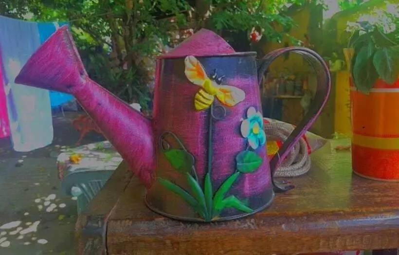 Hotelli Pousada Plantar E Cuidar