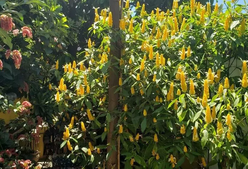 Hotelli Pousada Plantar E Cuidar