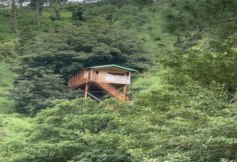 בית מלון כפרי The Cocoon Camps & Nature Resorts