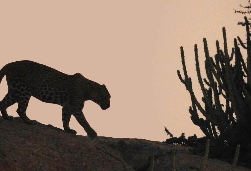 酒店 Thour Nature Resorts