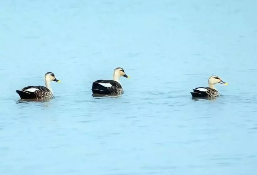 ホテル Thour Nature Resorts