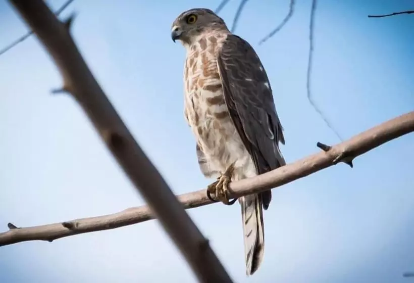 ホテル Thour Nature Resorts