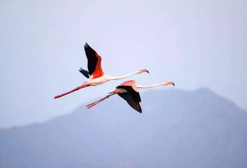 ホテル Thour Nature Resorts