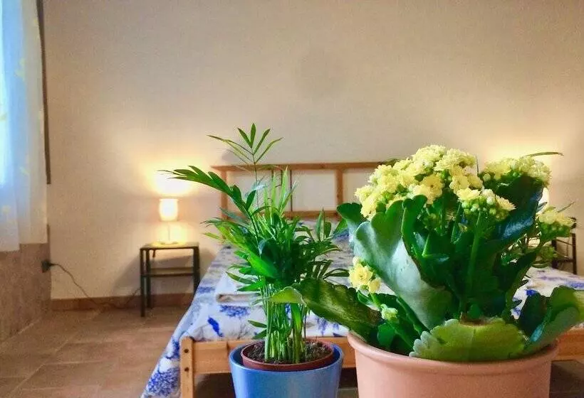 ペンション Gioi Villa Rizzo Lovely Rooms
