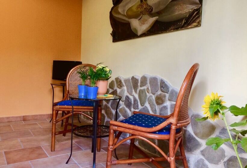 بنسيون Gioi Villa Rizzo Lovely Rooms