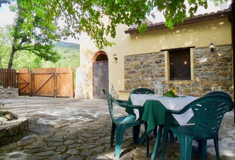 بنسيون Gioi Villa Rizzo Lovely Rooms