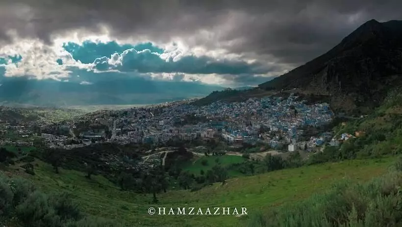 Majatalo Honeysunckle