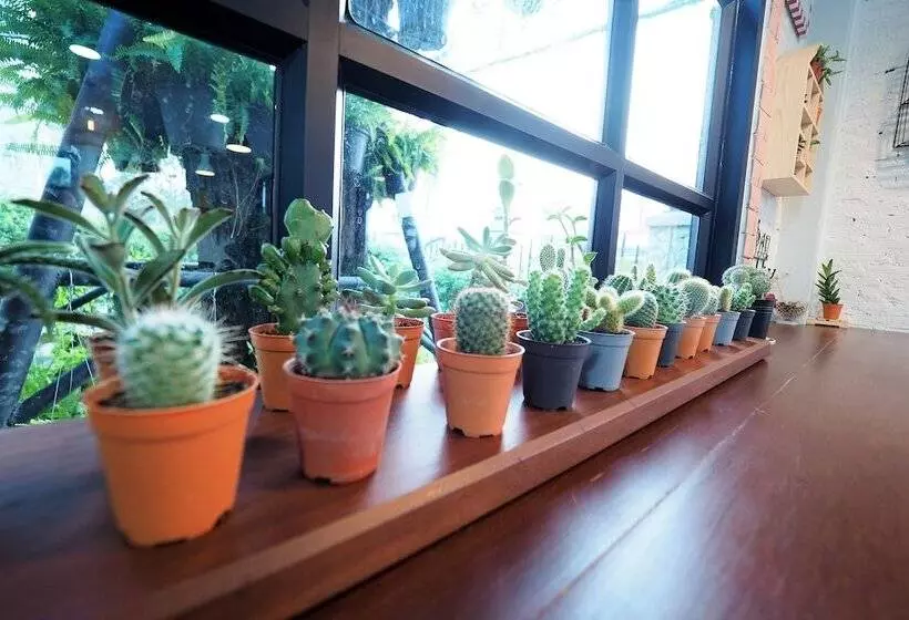 Hotelli Piccolo House