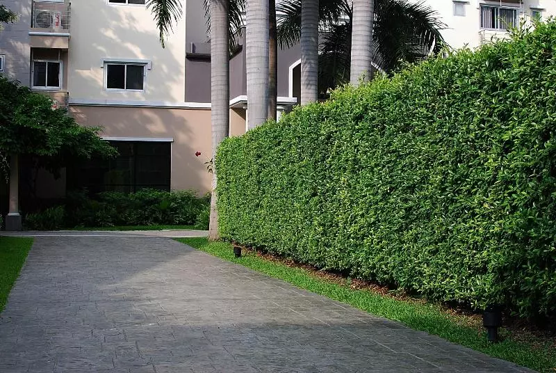 Hotelli The Green View