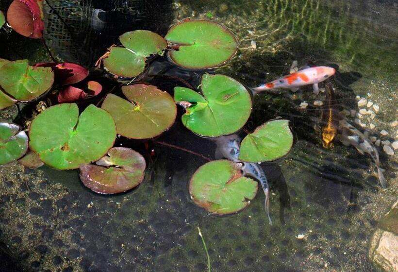 Pensionat Chambres D Hôtes Coté Halles