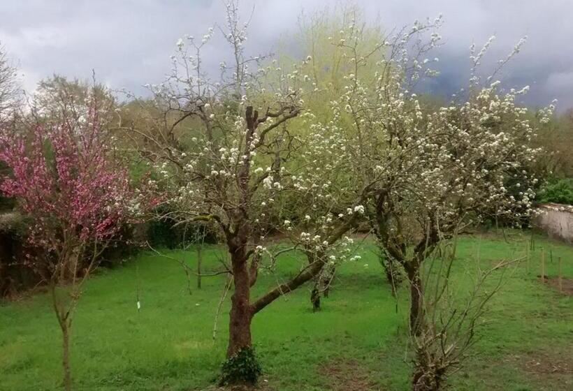 Pensionat Chambres D Hôtes Coté Halles