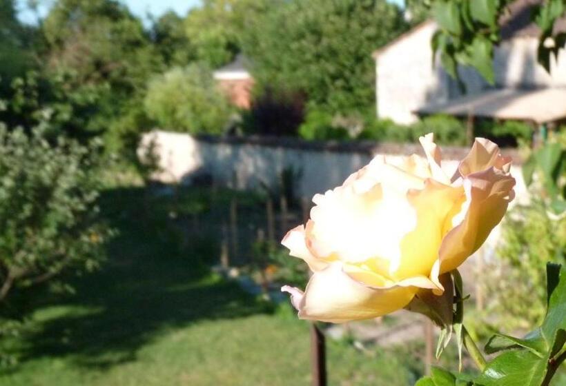 Pensionat Chambres D Hôtes Coté Halles